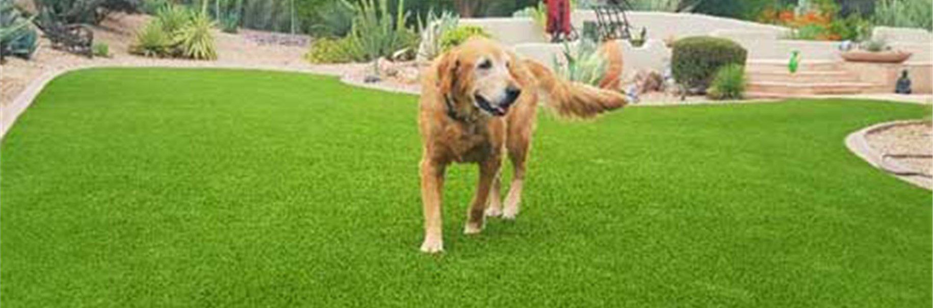 Pet Artificial Grass for Dog Runs & {arls, Kennels, Backyards Riverside